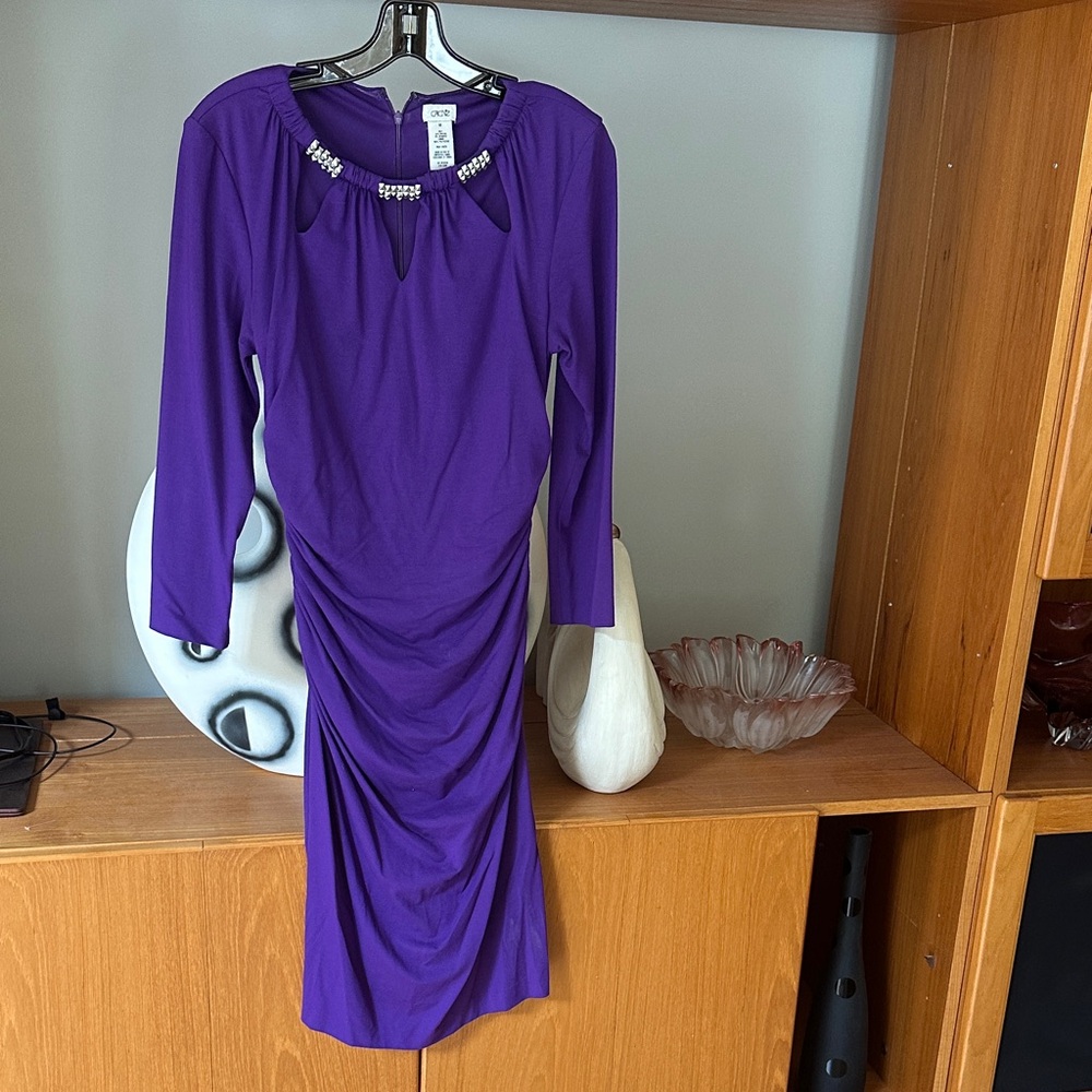 Cache Purple Long Sleeve Ruched Jewel Neck Dress